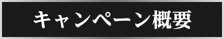 キャンペーン概要