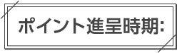 ポイント進呈時期