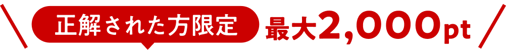 正解された方限定 最大2,000pt