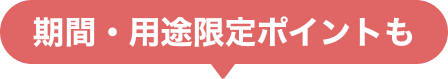 期間・用途限定ポイント